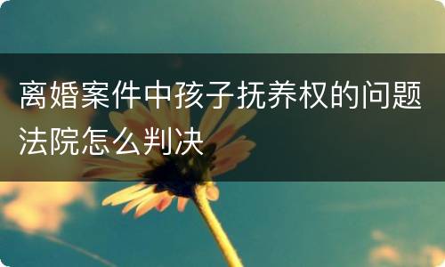 离婚案件中孩子抚养权的问题法院怎么判决