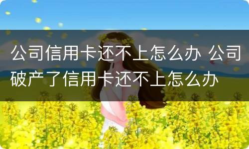 公司信用卡还不上怎么办 公司破产了信用卡还不上怎么办