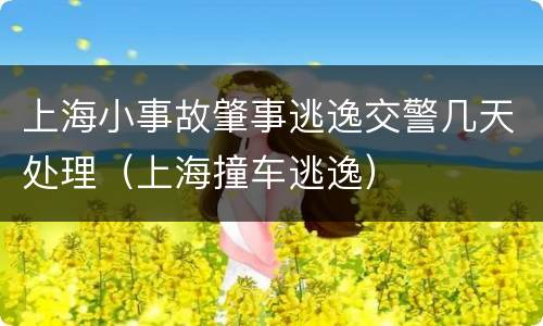 上海小事故肇事逃逸交警几天处理（上海撞车逃逸）