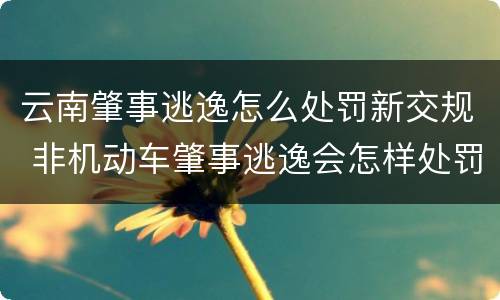 云南肇事逃逸怎么处罚新交规 非机动车肇事逃逸会怎样处罚