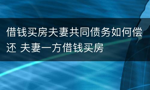 借钱买房夫妻共同债务如何偿还 夫妻一方借钱买房