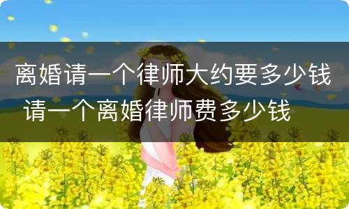 离婚请一个律师大约要多少钱 请一个离婚律师费多少钱