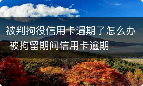 被判拘役信用卡遇期了怎么办 被拘留期间信用卡逾期