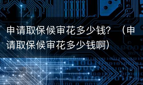 申请取保候审花多少钱？（申请取保候审花多少钱啊）