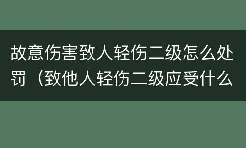 故意伤害致人轻伤二级怎么处罚（致他人轻伤二级应受什么处罚）