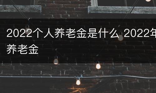 2022个人养老金是什么 2022年养老金