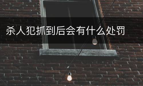 杀人犯抓到后会有什么处罚