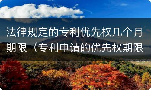 法律规定的专利优先权几个月期限（专利申请的优先权期限）