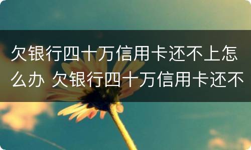 欠银行四十万信用卡还不上怎么办 欠银行四十万信用卡还不上怎么办呢