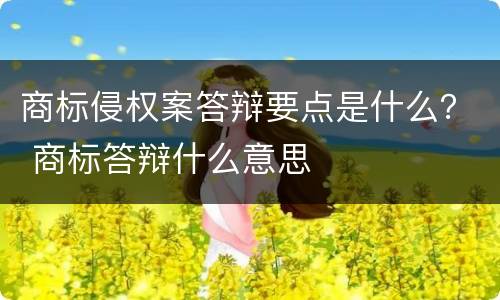 商标侵权案答辩要点是什么？ 商标答辩什么意思