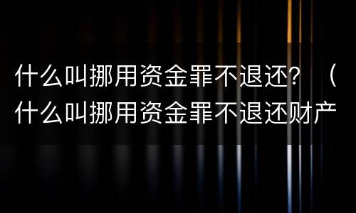 什么叫挪用资金罪不退还？（什么叫挪用资金罪不退还财产）