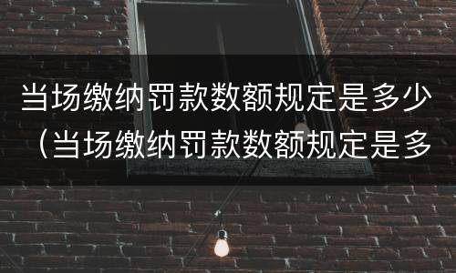 当场缴纳罚款数额规定是多少（当场缴纳罚款数额规定是多少）