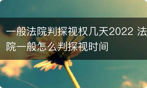 一般法院判探视权几天2022 法院一般怎么判探视时间