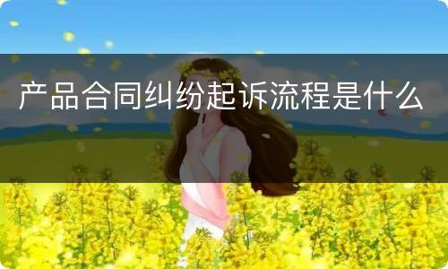 产品合同纠纷起诉流程是什么