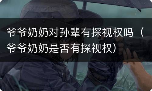 爷爷奶奶对孙辈有探视权吗（爷爷奶奶是否有探视权）