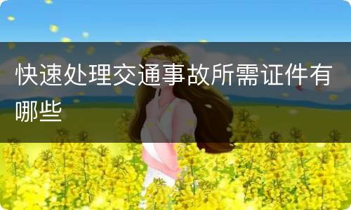 快速处理交通事故所需证件有哪些