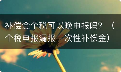 补偿金个税可以晚申报吗？（个税申报漏报一次性补偿金）