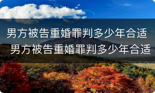 男方被告重婚罪判多少年合适 男方被告重婚罪判多少年合适呢