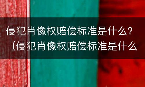 侵犯肖像权赔偿标准是什么？（侵犯肖像权赔偿标准是什么样的）
