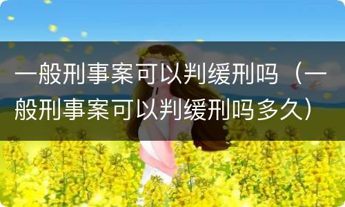 一般刑事案可以判缓刑吗（一般刑事案可以判缓刑吗多久）