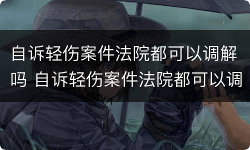 自诉轻伤案件法院都可以调解吗 自诉轻伤案件法院都可以调解吗怎么调解