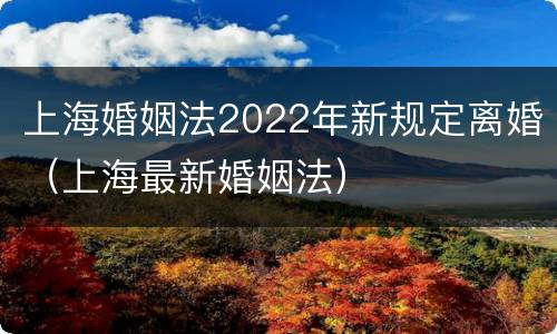 上海婚姻法2022年新规定离婚（上海最新婚姻法）