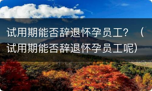 试用期能否辞退怀孕员工？（试用期能否辞退怀孕员工呢）