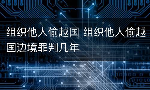 组织他人偷越国 组织他人偷越国边境罪判几年