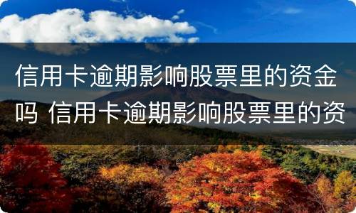 信用卡逾期影响股票里的资金吗 信用卡逾期影响股票里的资金吗怎么办