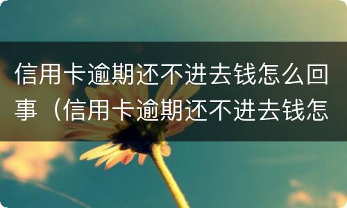 信用卡逾期还不进去钱怎么回事（信用卡逾期还不进去钱怎么回事呢）