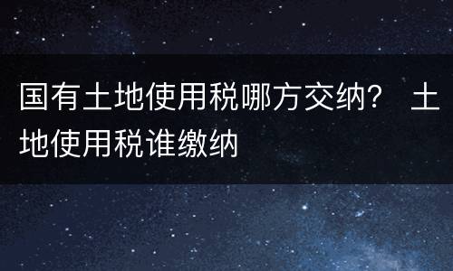 国有土地使用税哪方交纳？ 土地使用税谁缴纳