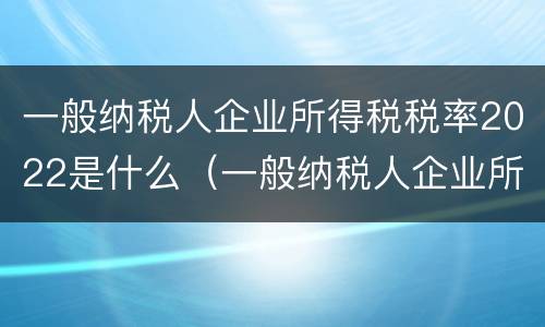 一般纳税人企业所得税税率2022是什么（一般纳税人企业所得税税率2022是什么意思）
