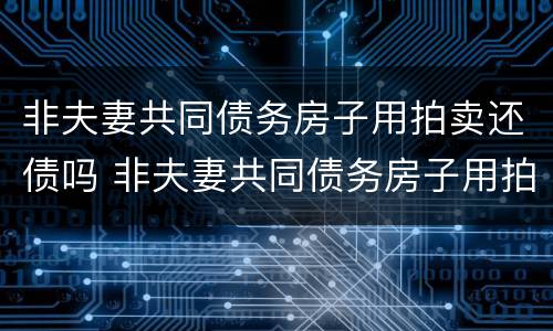 非夫妻共同债务房子用拍卖还债吗 非夫妻共同债务房子用拍卖还债吗