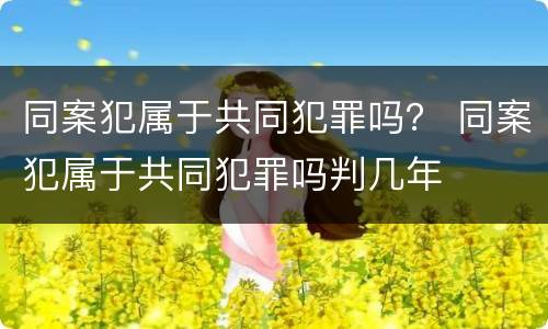 同案犯属于共同犯罪吗？ 同案犯属于共同犯罪吗判几年