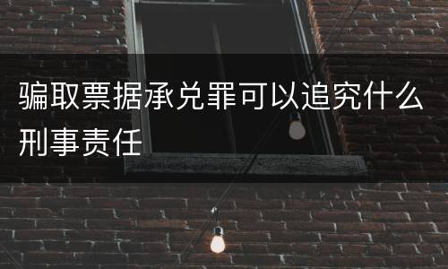 骗取票据承兑罪可以追究什么刑事责任