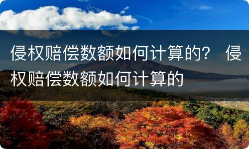 侵权赔偿数额如何计算的？ 侵权赔偿数额如何计算的
