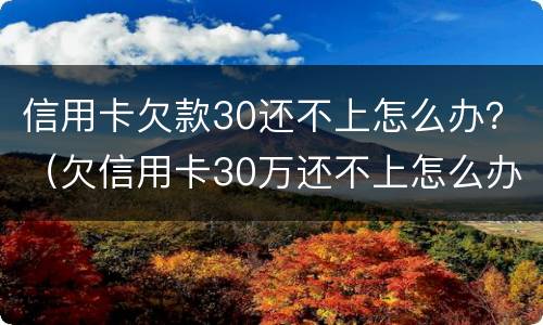 信用卡欠款30还不上怎么办？（欠信用卡30万还不上怎么办）