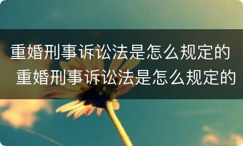 重婚刑事诉讼法是怎么规定的 重婚刑事诉讼法是怎么规定的案件