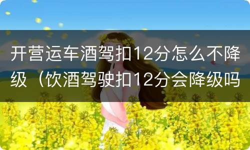 开营运车酒驾扣12分怎么不降级（饮酒驾驶扣12分会降级吗）