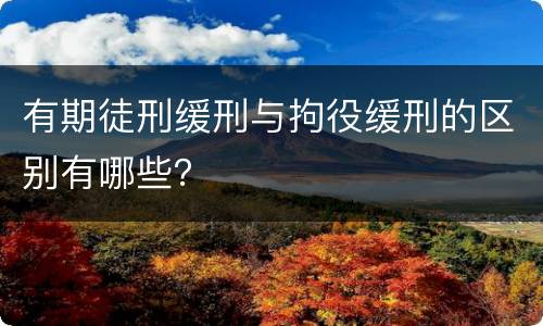 有期徒刑缓刑与拘役缓刑的区别有哪些？