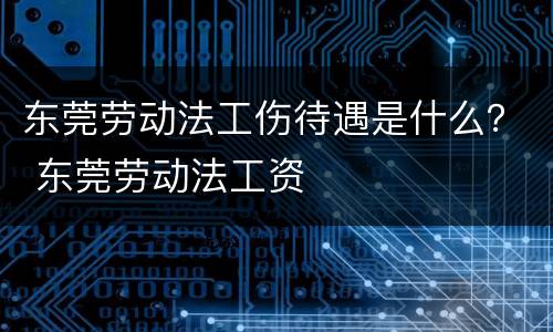 东莞劳动法工伤待遇是什么？ 东莞劳动法工资