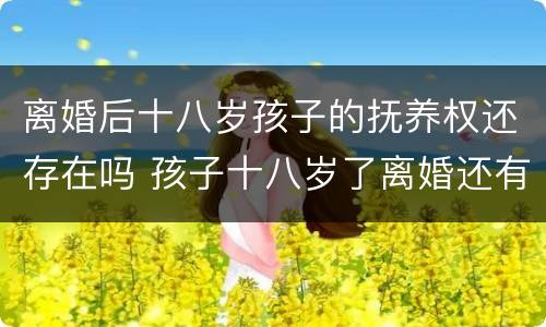 离婚后十八岁孩子的抚养权还存在吗 孩子十八岁了离婚还有抚养权问题吗