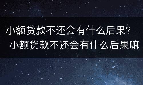 小额贷款不还会有什么后果？ 小额贷款不还会有什么后果嘛