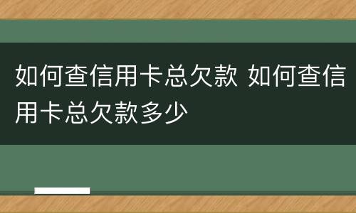 如何查信用卡总欠款 如何查信用卡总欠款多少