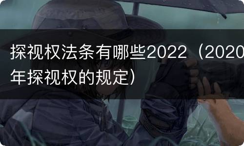 探视权法条有哪些2022（2020年探视权的规定）