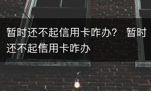 暂时还不起信用卡咋办？ 暂时还不起信用卡咋办