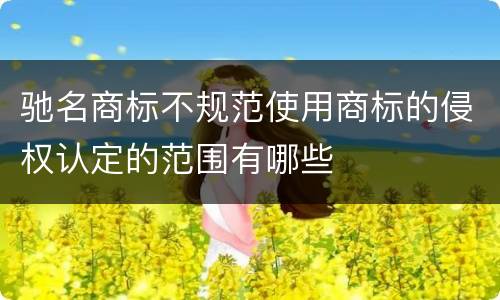 驰名商标不规范使用商标的侵权认定的范围有哪些