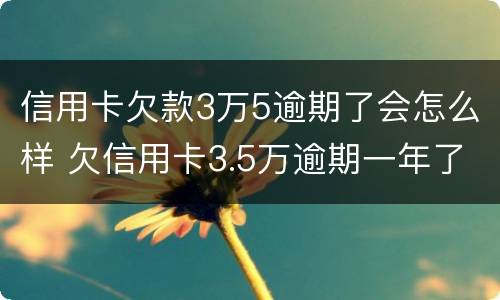 信用卡欠款3万5逾期了会怎么样 欠信用卡3.5万逾期一年了该还多少