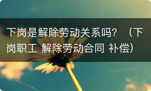 下岗是解除劳动关系吗？（下岗职工 解除劳动合同 补偿）