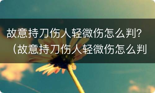 故意持刀伤人轻微伤怎么判？（故意持刀伤人轻微伤怎么判刑的）